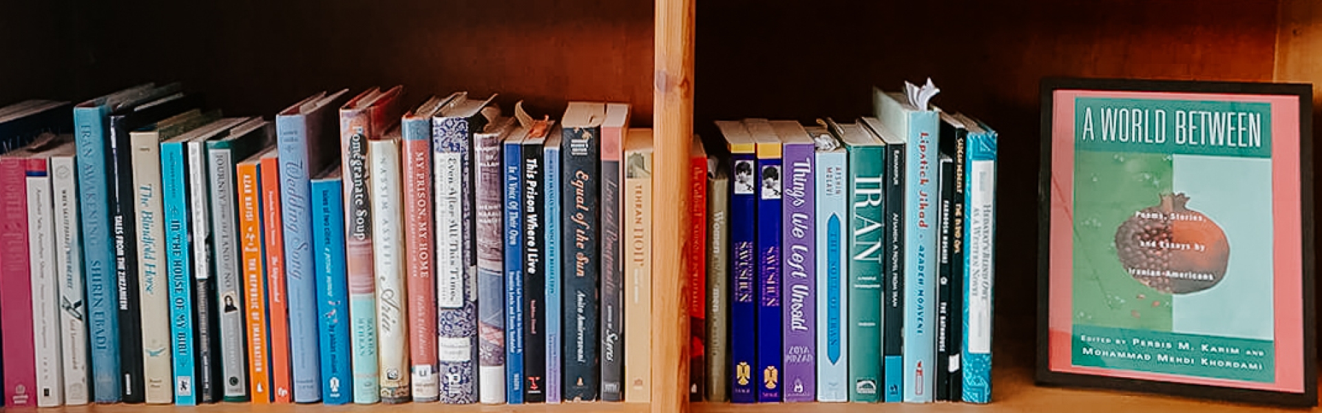 Photo of books in a bookshelf