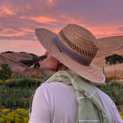 Sama Mansouri looking at the sunset